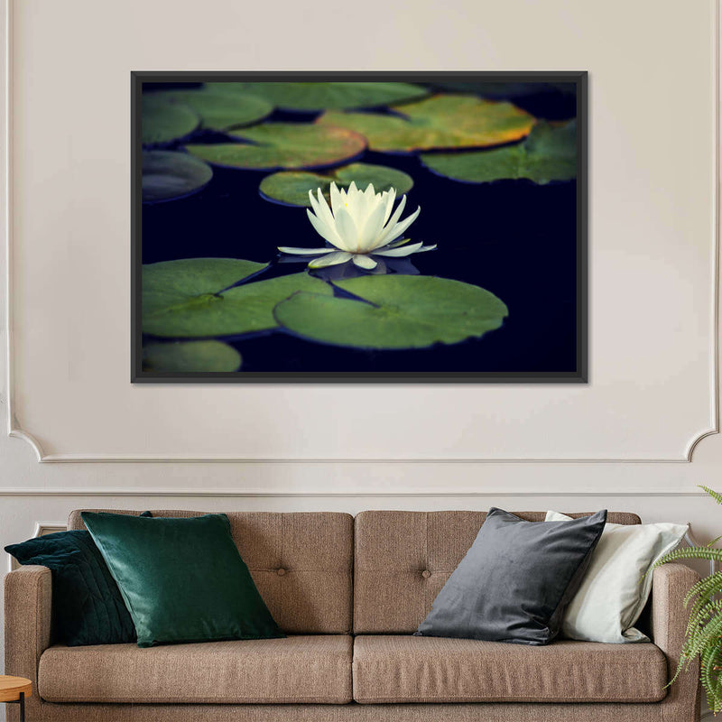 Lotus And Leaves Wall Art
