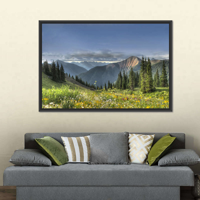 Rocky Mountain National Park Meadow Wall Art
