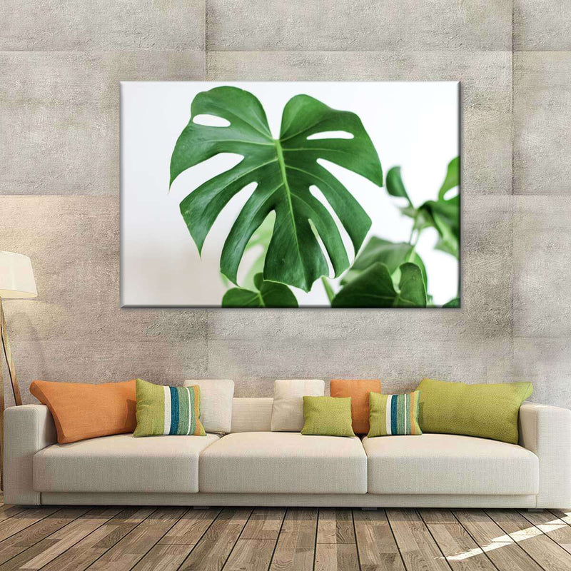 Monstera Leaf Wall Art