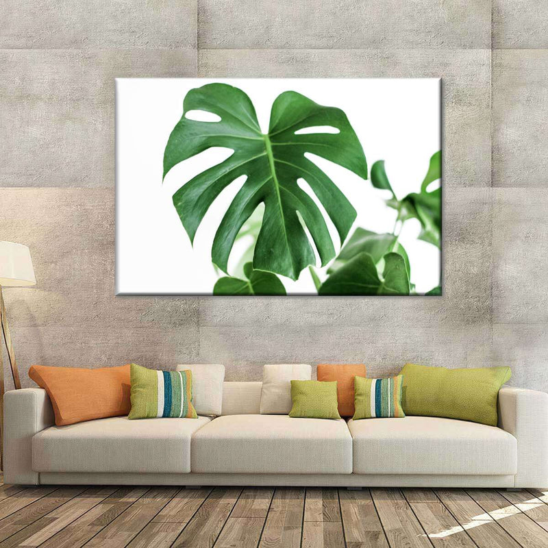Monstera Leaf Wall Art
