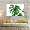 Monstera Leaf Wall Art