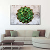 Grunge Succulent Wall Art