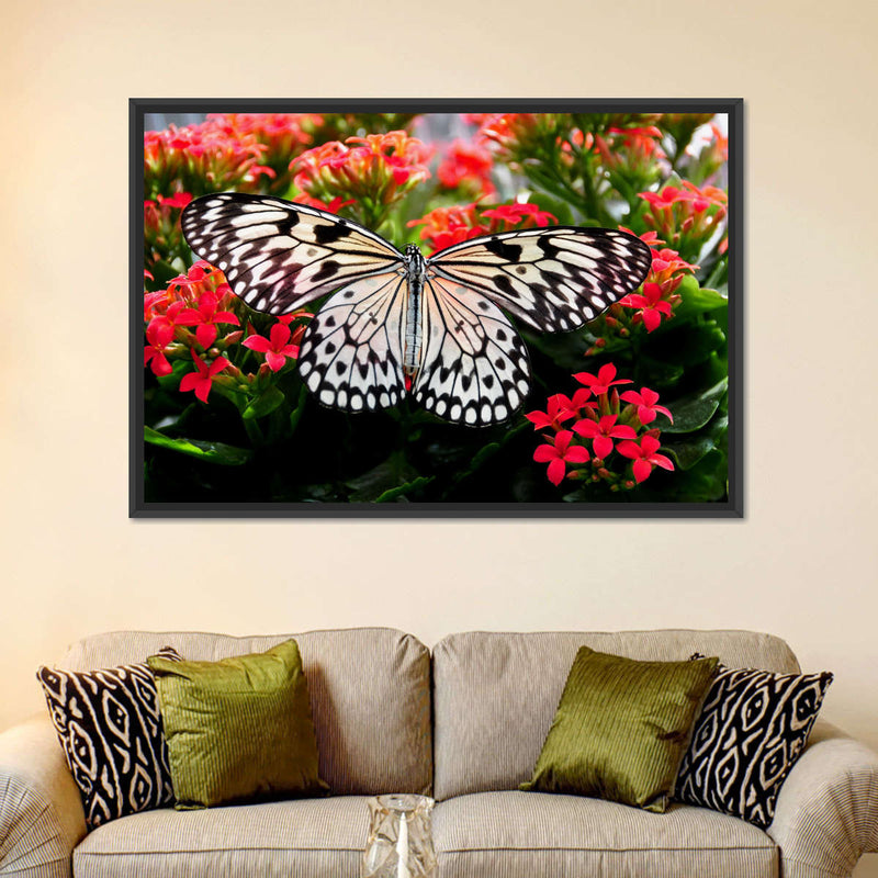 Pretty Butterfly Wall Art