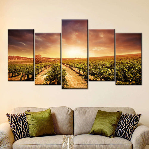 Vineyards Wall Art
