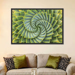 Spiral Succulent Wall Art