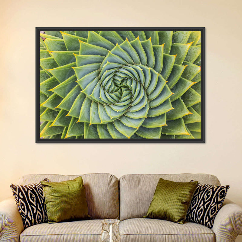 Spiral Succulent Wall Art