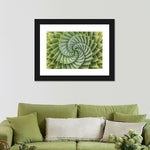 Spiral Succulent Wall Art