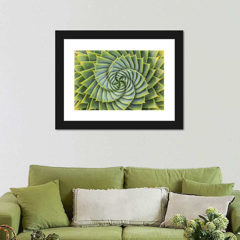 Spiral Succulent Wall Art