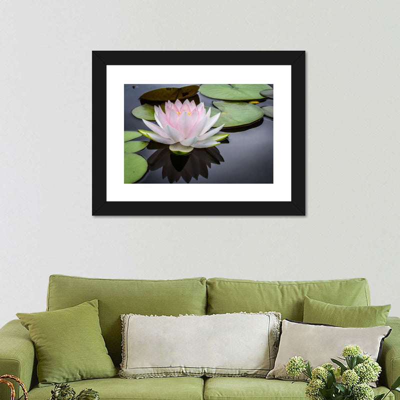 Pinkish White Lotus Wall Art