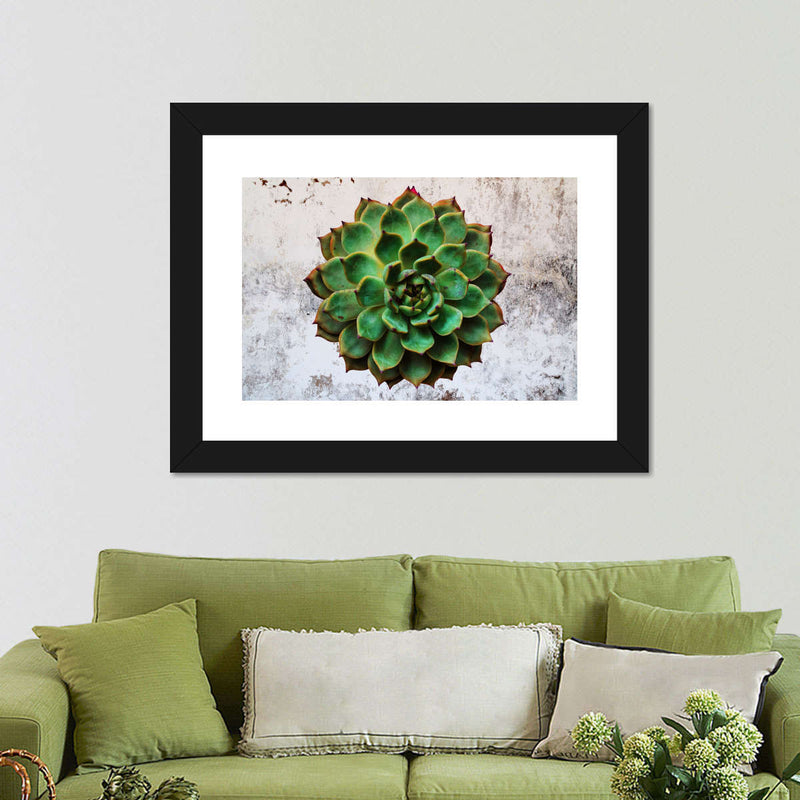 Grunge Succulent Wall Art