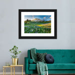 Springtime At Mount Rainier Wall Art
