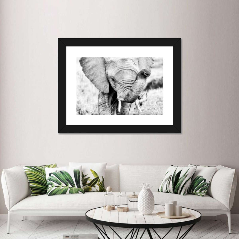 Kenyan Baby Elephant Wall Art