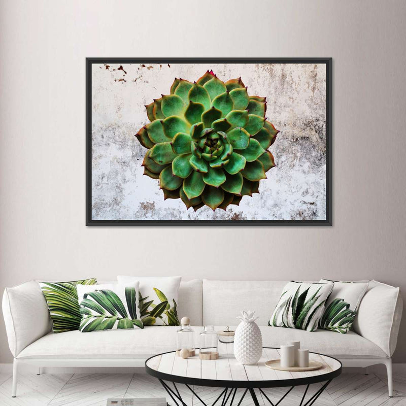 Grunge Succulent Wall Art