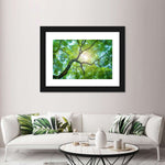 Tree Canopy Sunshine Wall Art