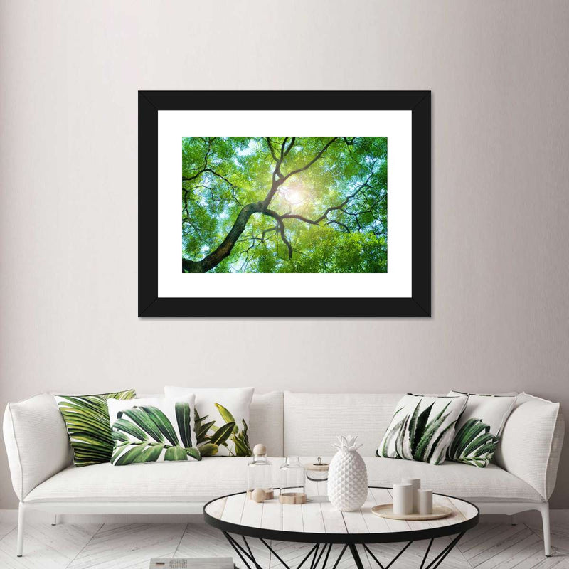 Tree Canopy Sunshine Wall Art