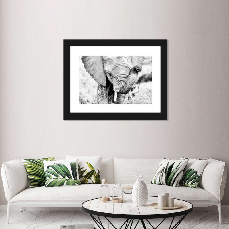 Kenyan Baby Elephant Wall Art
