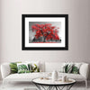 Red Tree Wall Art