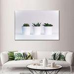 Three Succulents Wall Art