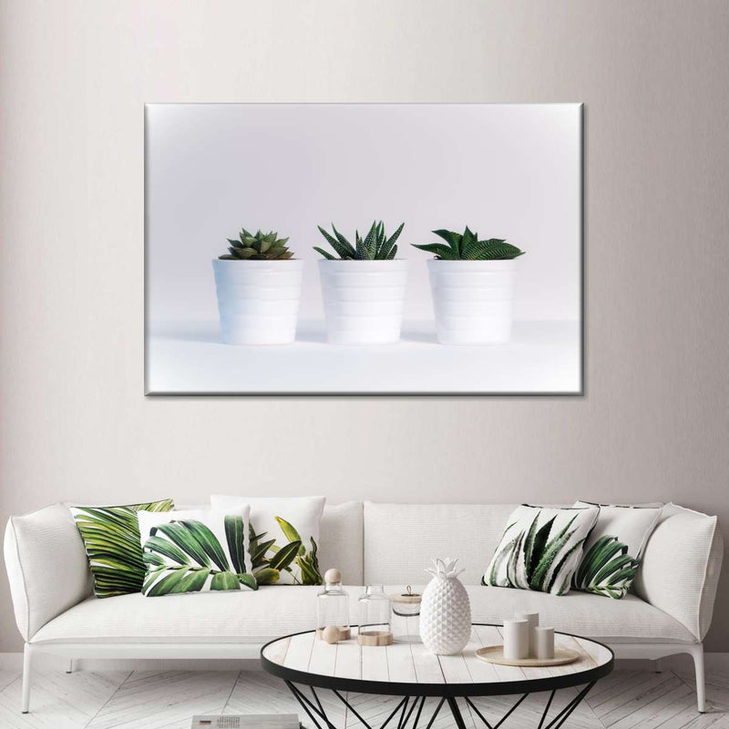 Three Succulents Wall Art