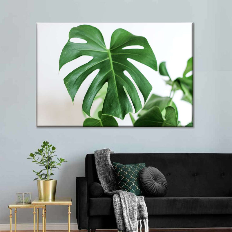 Monstera Leaf Wall Art