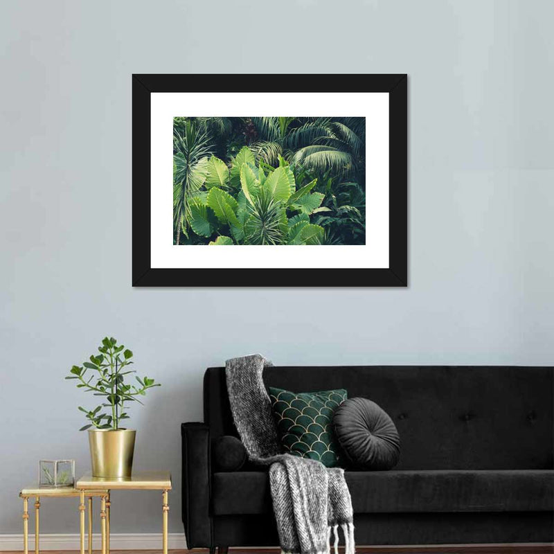 Tropical Jungle Wall Art