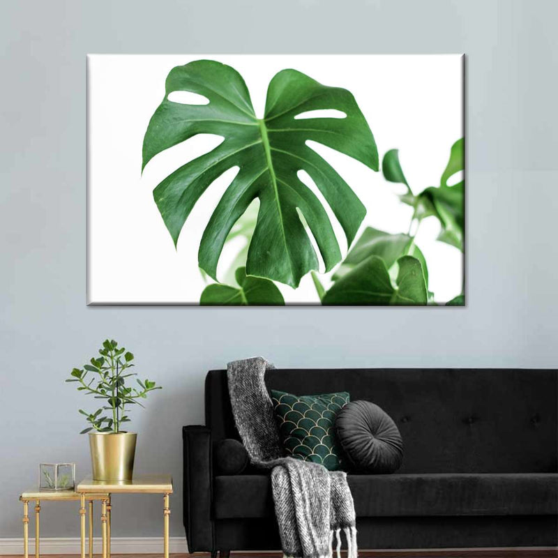 Monstera Leaf Wall Art