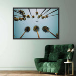 Plane Below Palm Trees Wall Art