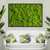 Green Reindeer Moss Wall Art