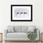 Three Succulents Wall Art