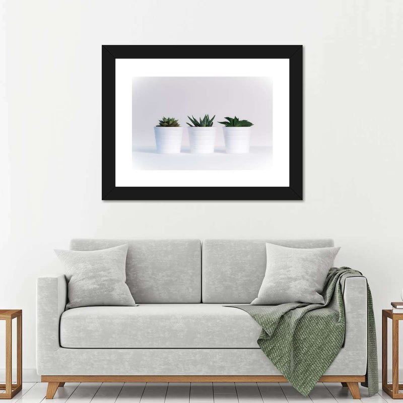 Three Succulents Wall Art