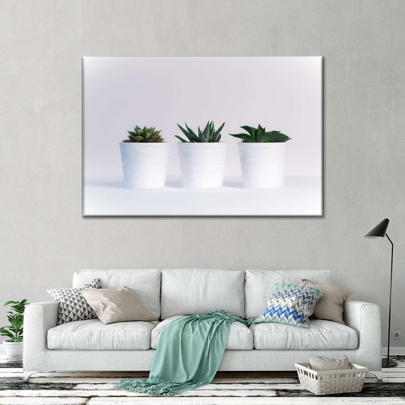 Three Succulents Wall Art