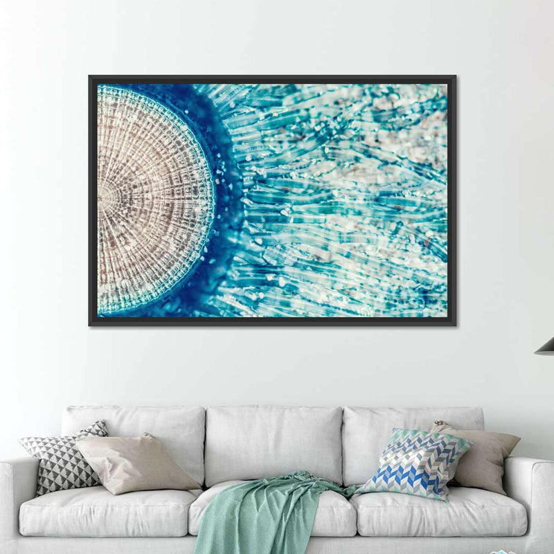 Jellyfish Details Wall Art