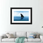 Shark Fin Wall Art