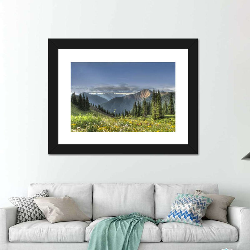 Rocky Mountain National Park Meadow Wall Art