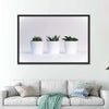 Three Succulents Wall Art