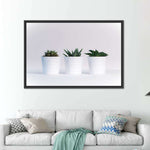 Three Succulents Wall Art