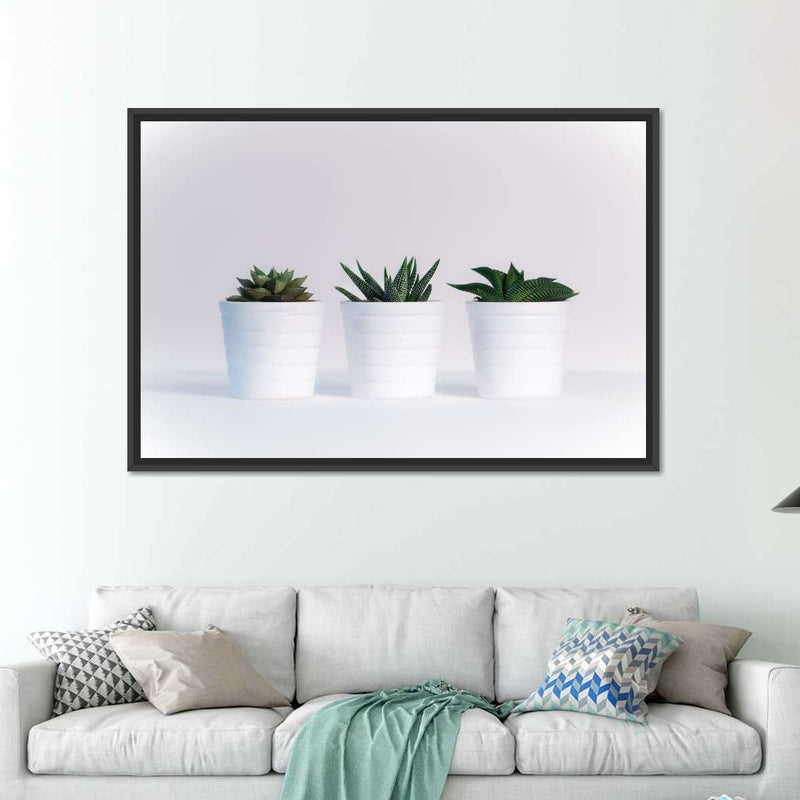 Three Succulents Wall Art