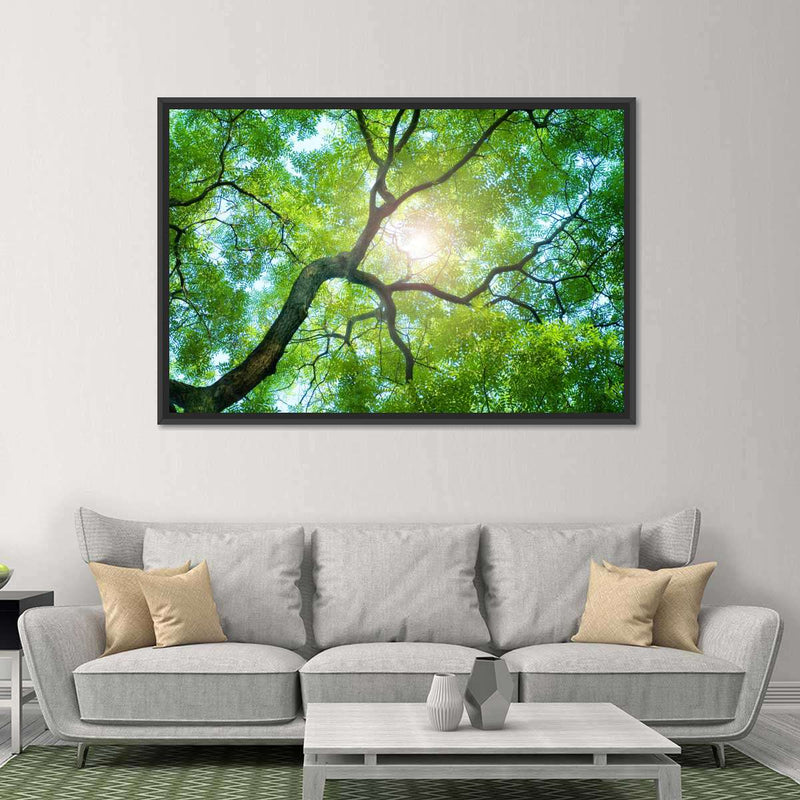 Tree Canopy Sunshine Wall Art