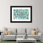 Succulent Plant Bloom Wall Art