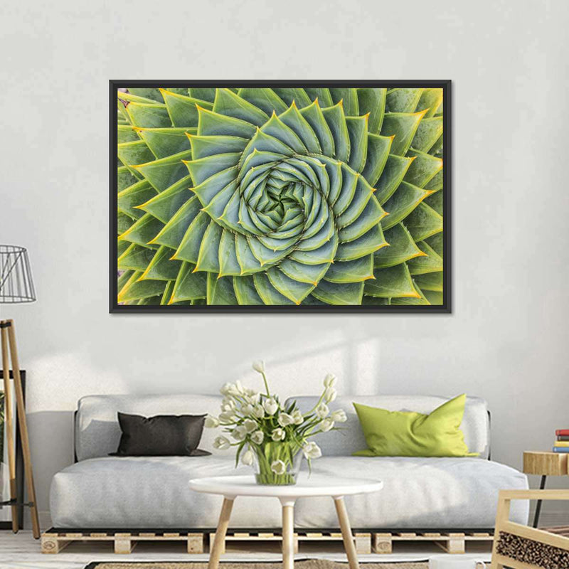 Spiral Succulent Wall Art