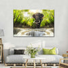 Waterfall Elephant Wall Art