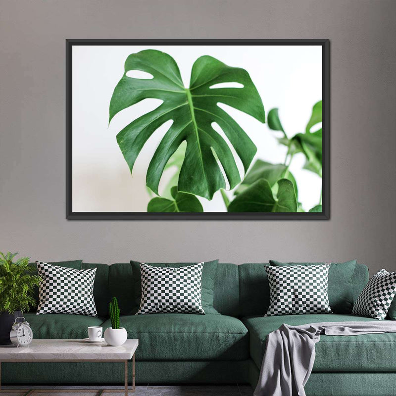 Monstera Leaf Wall Art