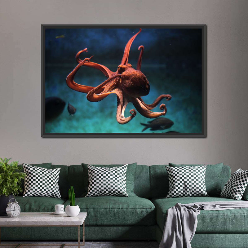 Octopus Vulgaris Wall Art