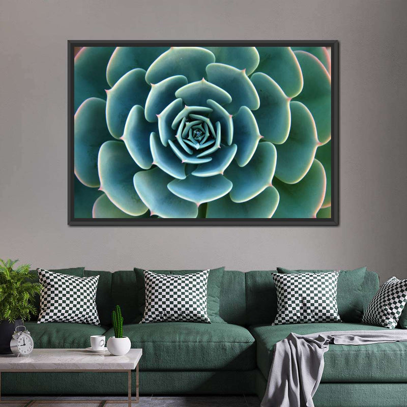 Live Succulent Wall Art