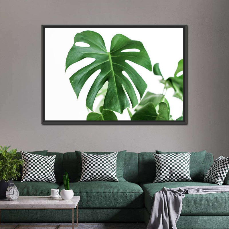 Monstera Leaf Wall Art