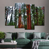 Vibrant Redwood Wall Art