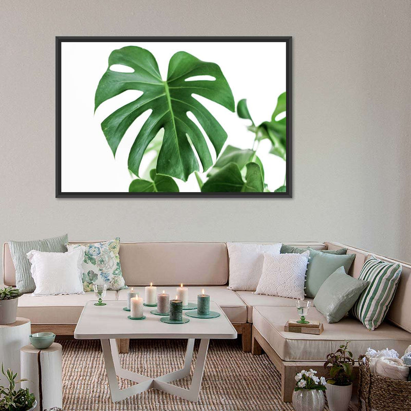 Monstera Leaf Wall Art