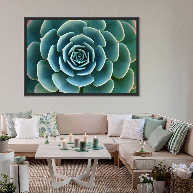Live Succulent Wall Art