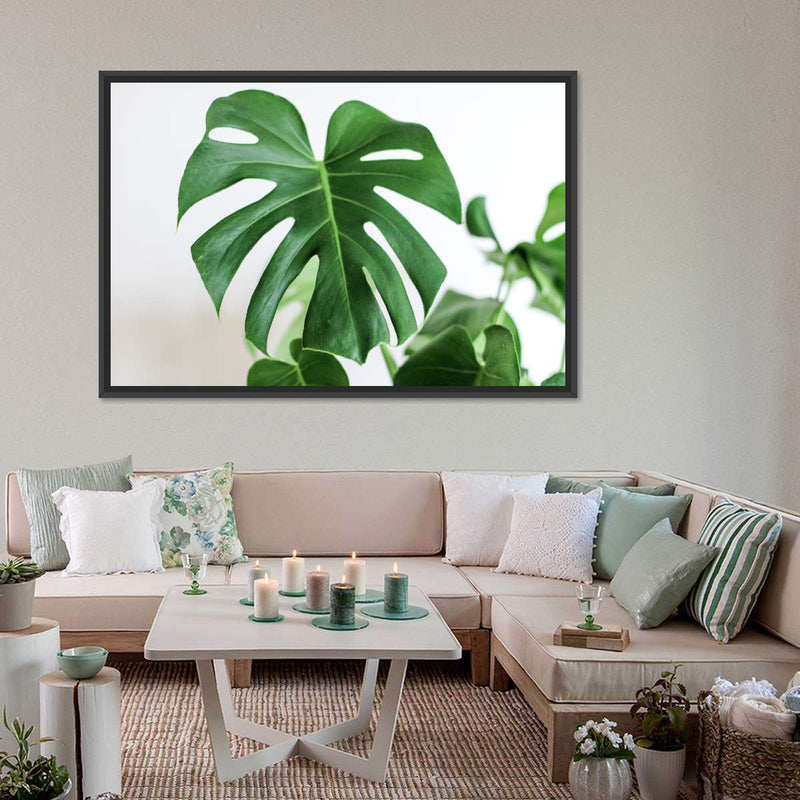 Monstera Leaf Wall Art