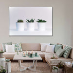 Three Succulents Wall Art